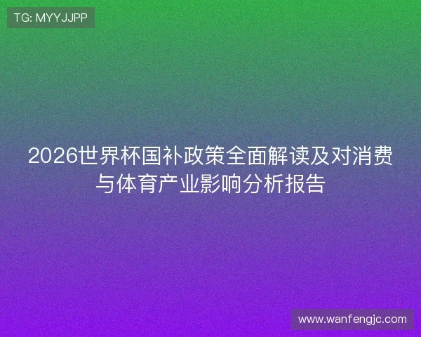 2026世界杯国补政策全面解读及对消费与体育产业影响分析报告